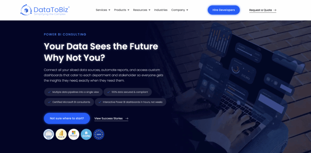 DataToBiz website