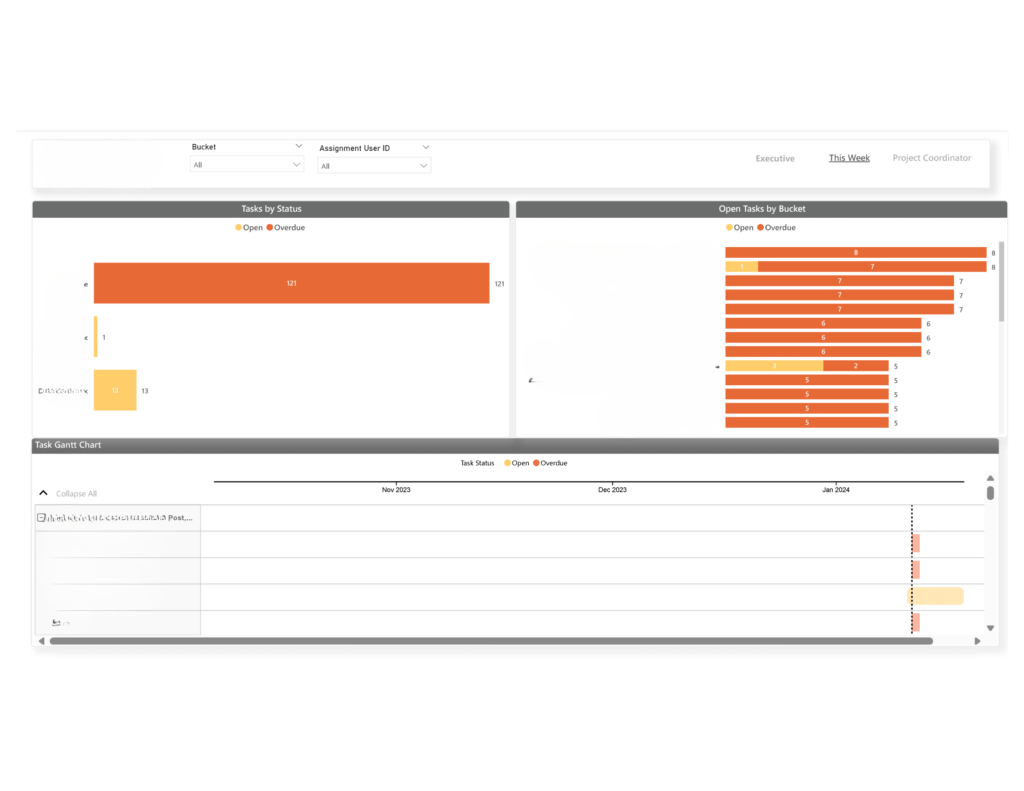 Project Management Power BI 