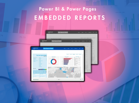 Power BI and Power Pages Consulting Case Study Thumbnail