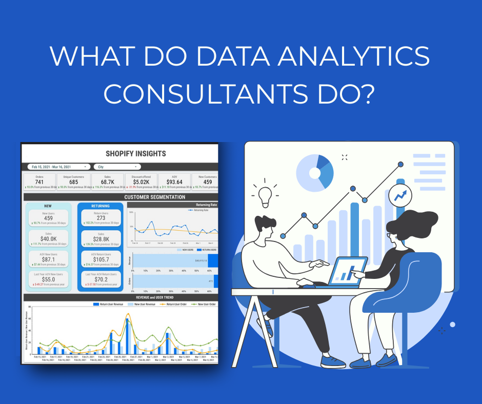 Data Analytics Consultant