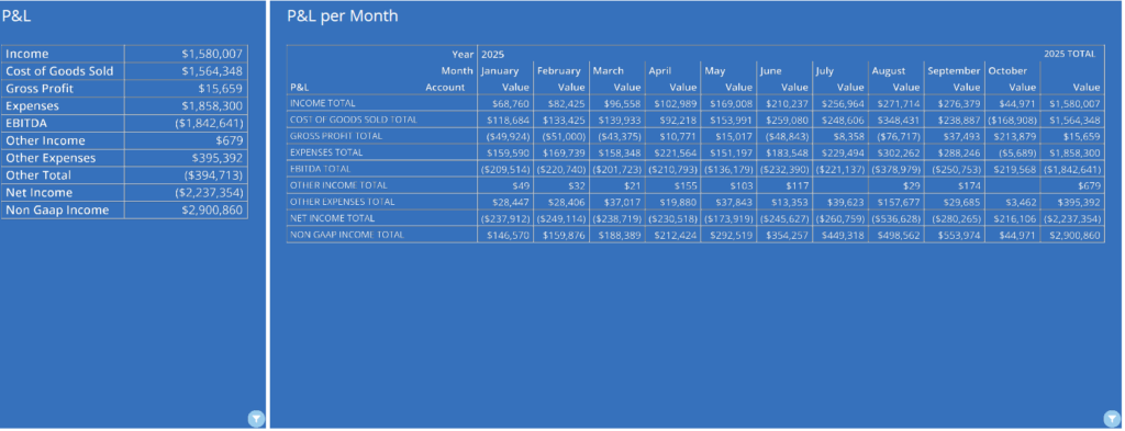 DOMO P&L Analysis