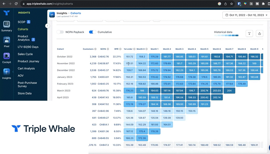 Tripple Whale Metrics