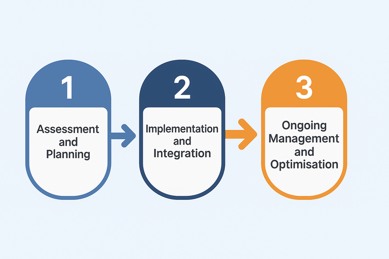 BI Analytics process