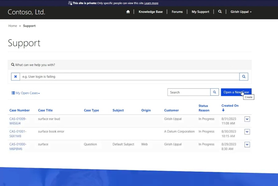 Power Pages Customer Self Service