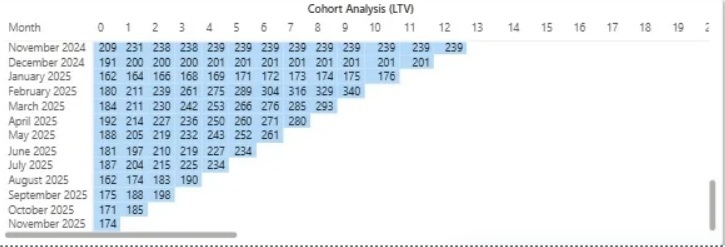 Cohort Analysis Viz
